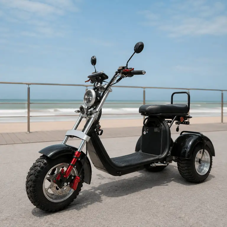 TRICICLO 4000W