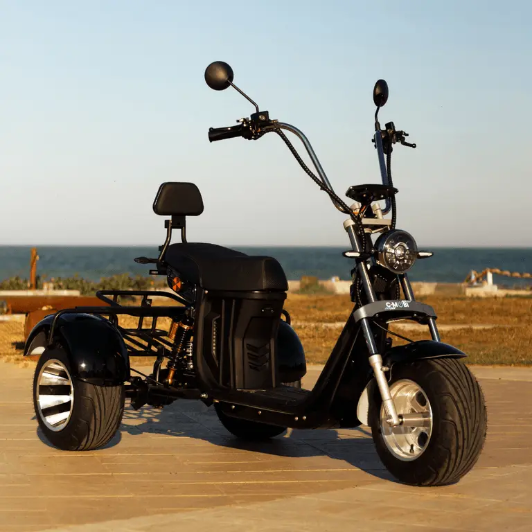 TRICICLO R11 2000W